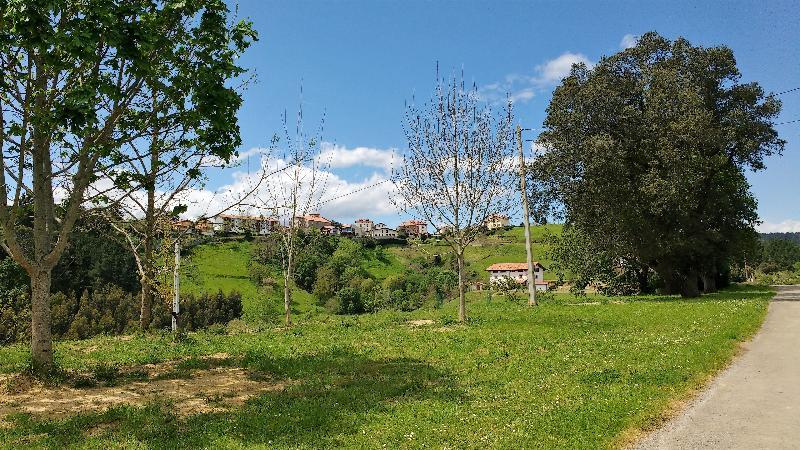 Casa Rural Arboliz Ibarrangelu Exterior photo