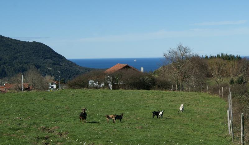 Casa Rural Arboliz Ibarrangelu Exterior photo